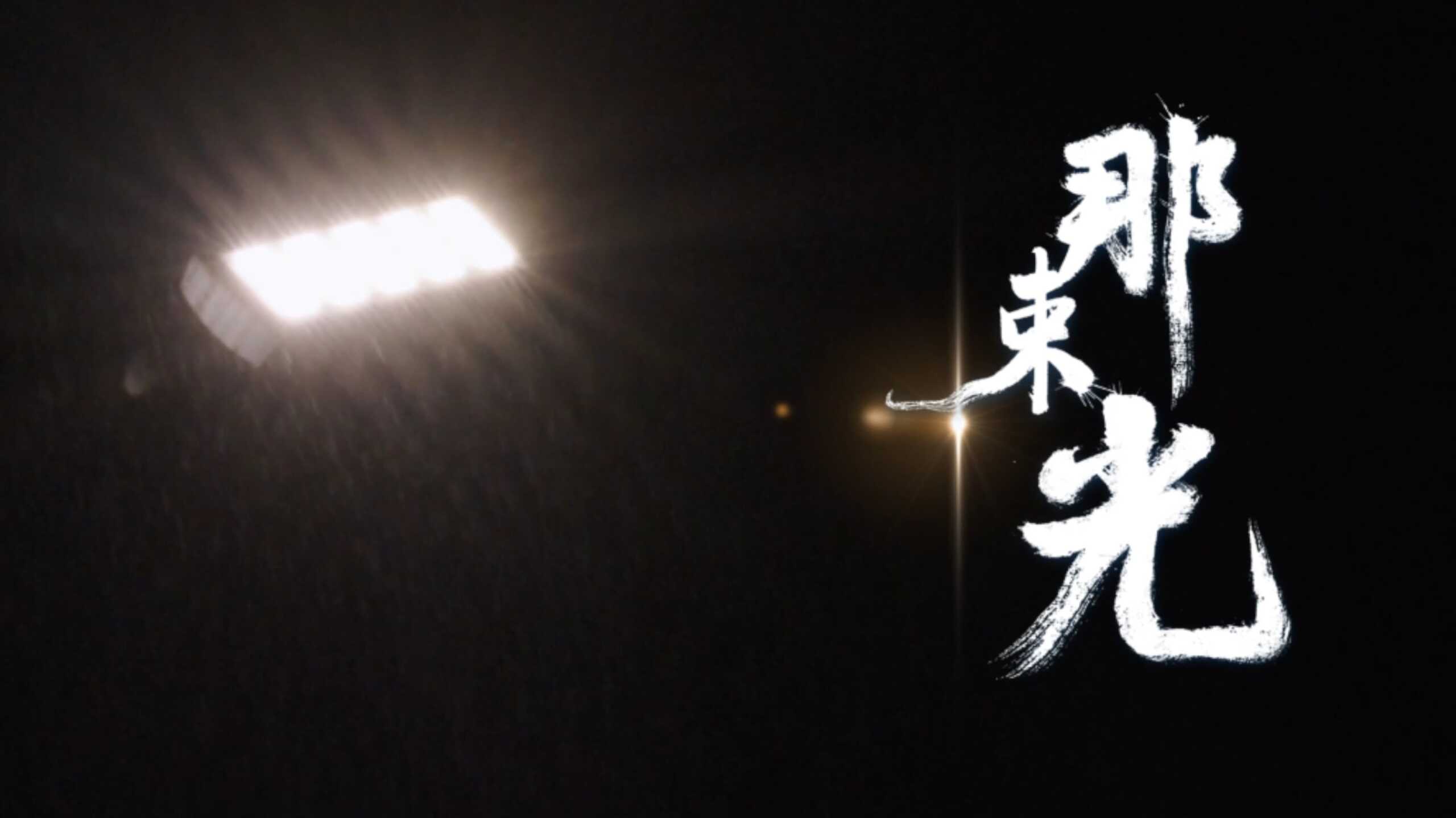 加拿大PC28